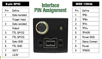 Interface PIN Assignment