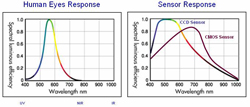 Is there a popular jazz song that uses a call and response pattern