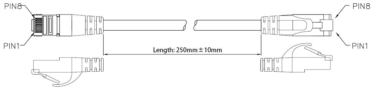 CA-RJ45-L0025