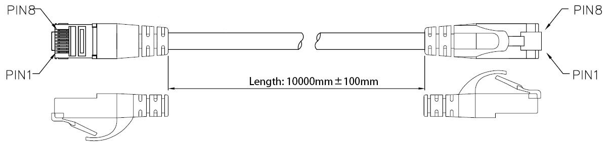 CA-RJ45-L100